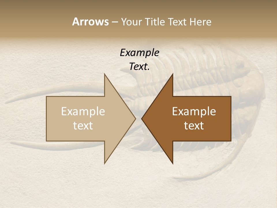 Geology Prehistoric Animal PowerPoint Template