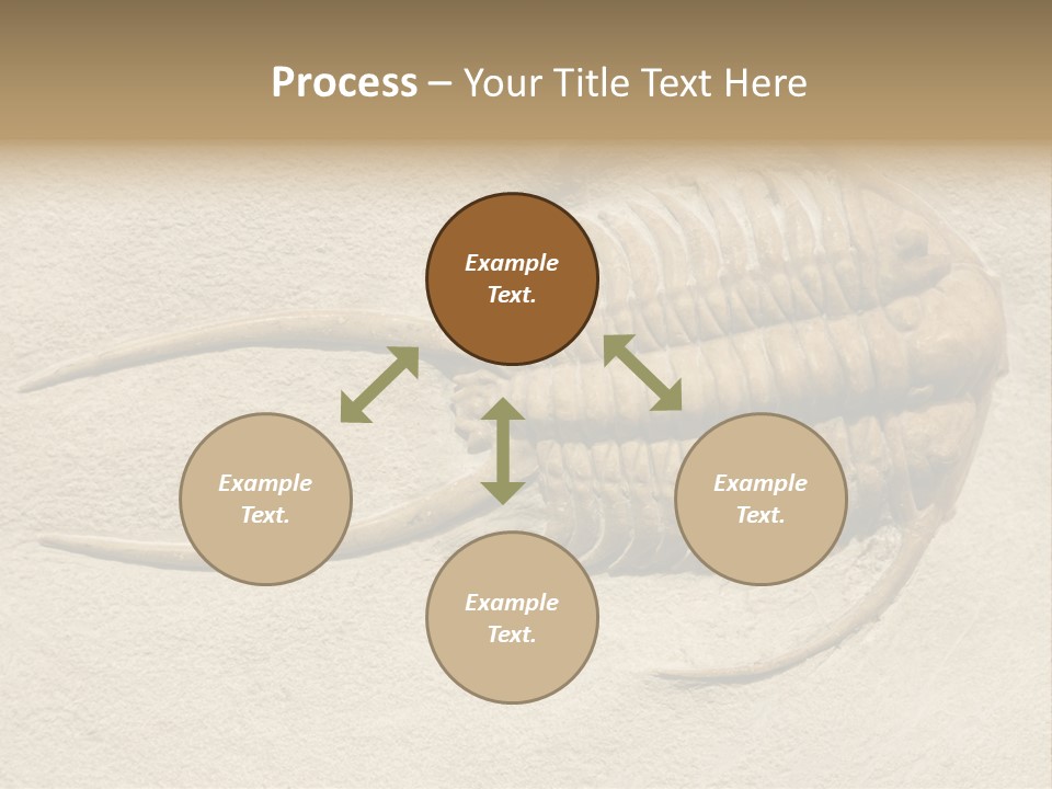 Geology Prehistoric Animal PowerPoint Template