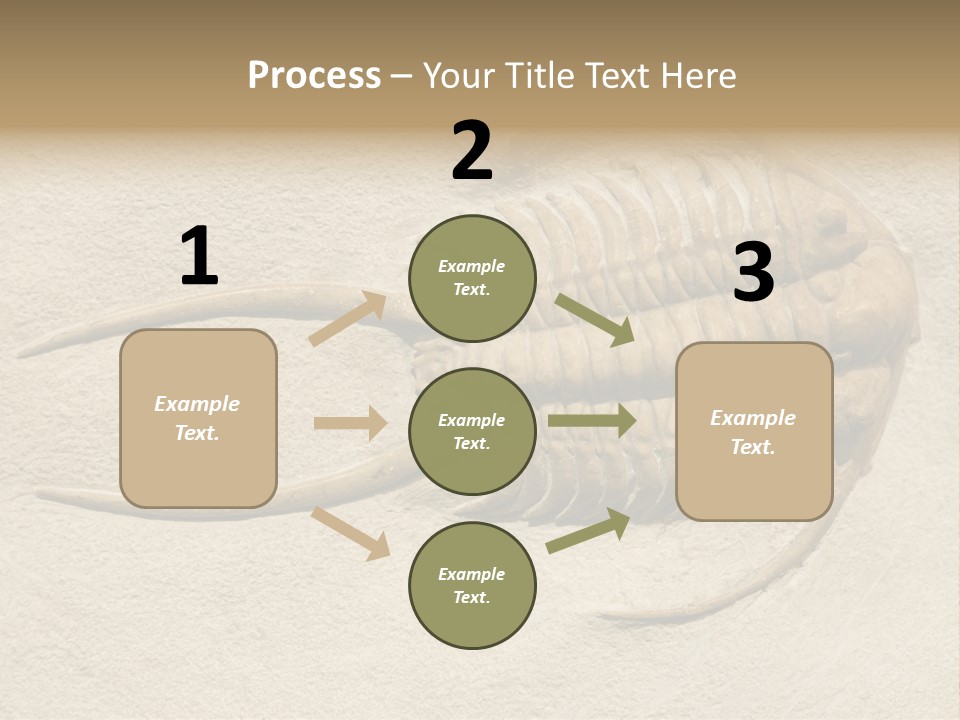 Geology Prehistoric Animal PowerPoint Template