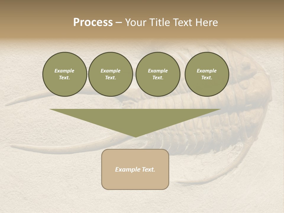 Geology Prehistoric Animal PowerPoint Template