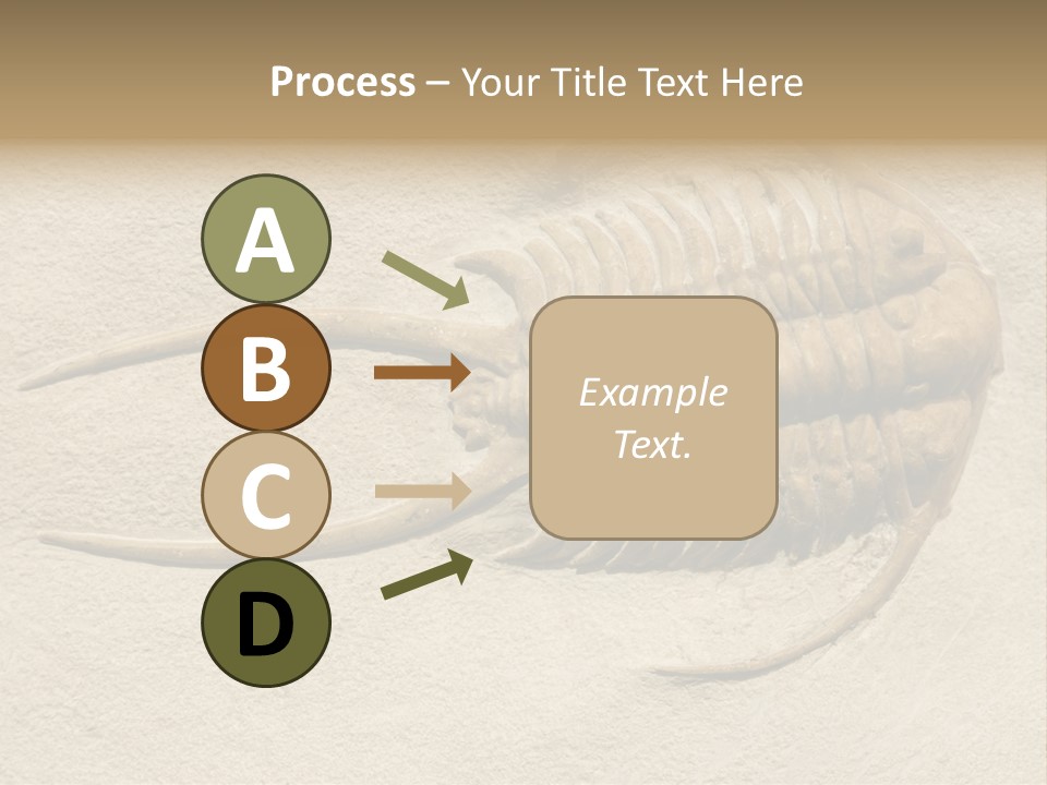 Geology Prehistoric Animal PowerPoint Template