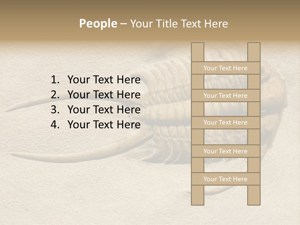 Geology Prehistoric Animal PowerPoint Template