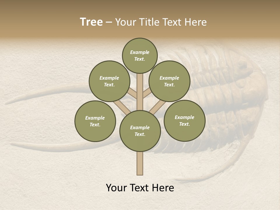 Geology Prehistoric Animal PowerPoint Template