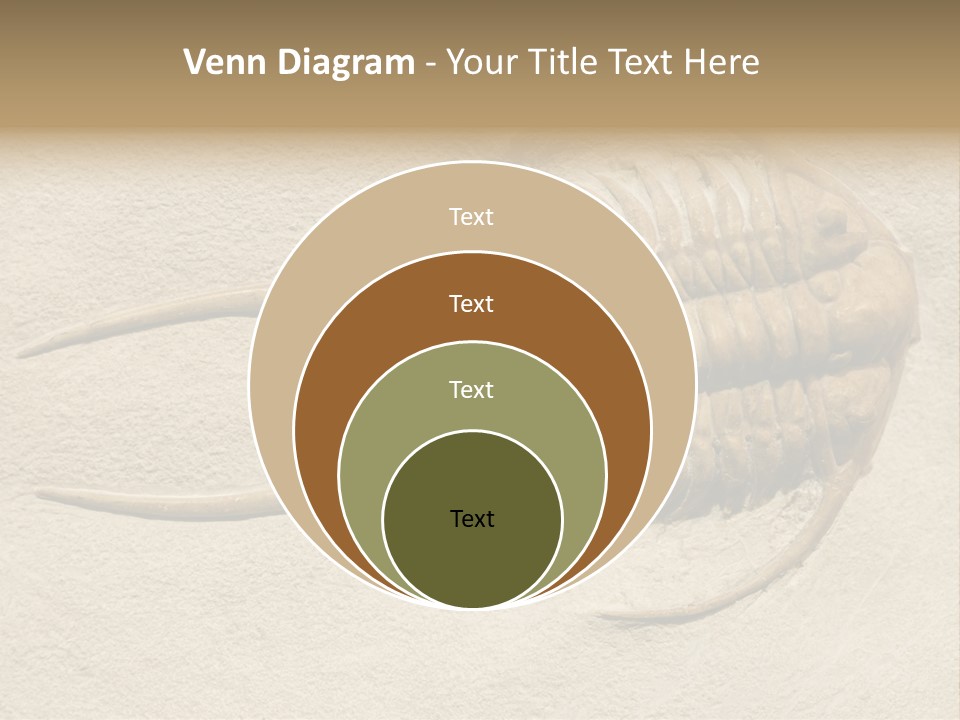 Geology Prehistoric Animal PowerPoint Template