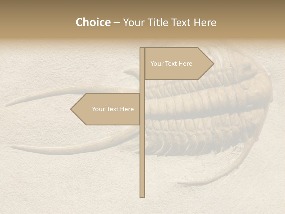 Geology Prehistoric Animal PowerPoint Template