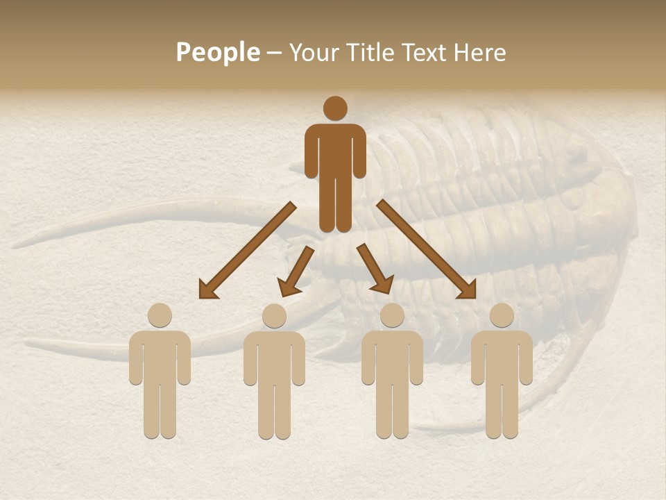 Geology Prehistoric Animal PowerPoint Template