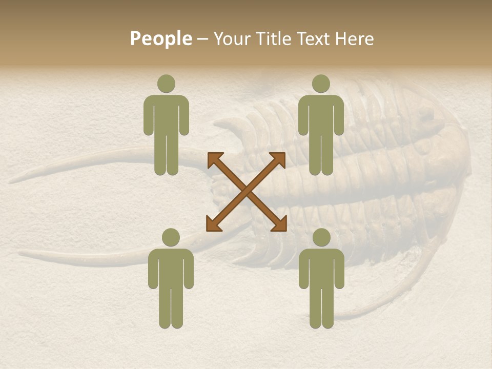 Geology Prehistoric Animal PowerPoint Template