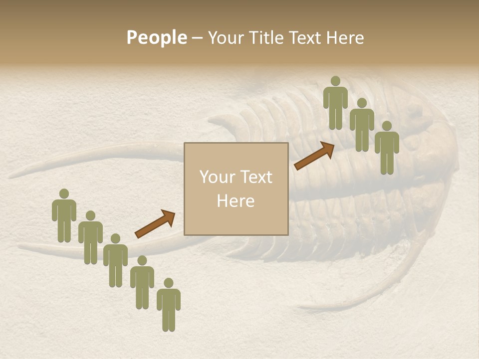 Geology Prehistoric Animal PowerPoint Template