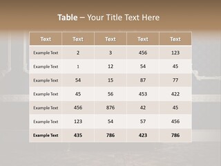 Bathtub Retro Interiors PowerPoint Template