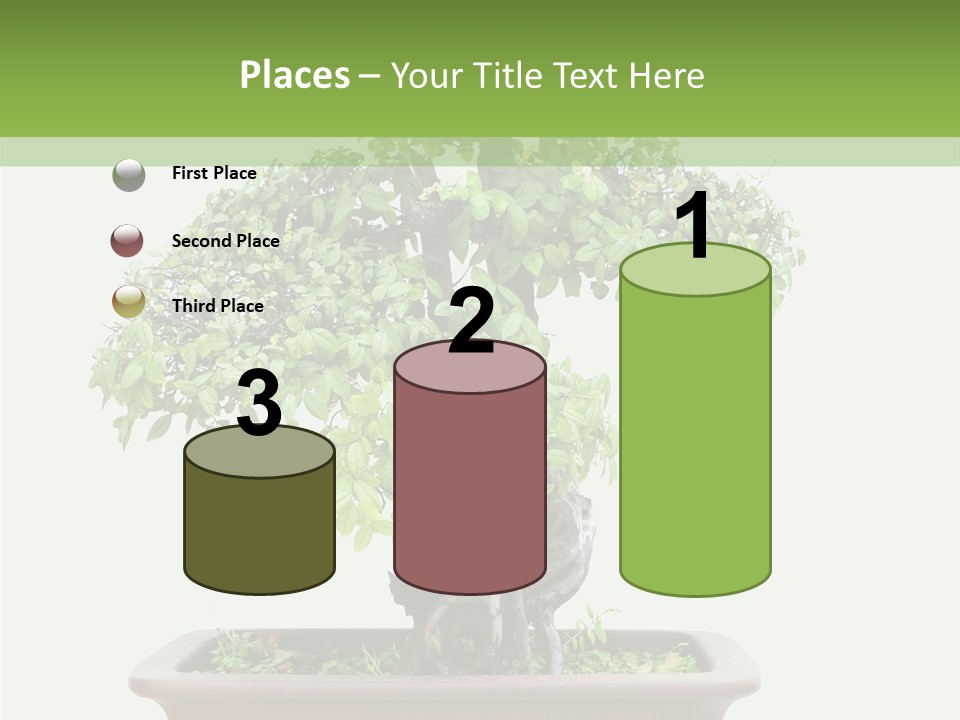 White Botany Branch PowerPoint Template