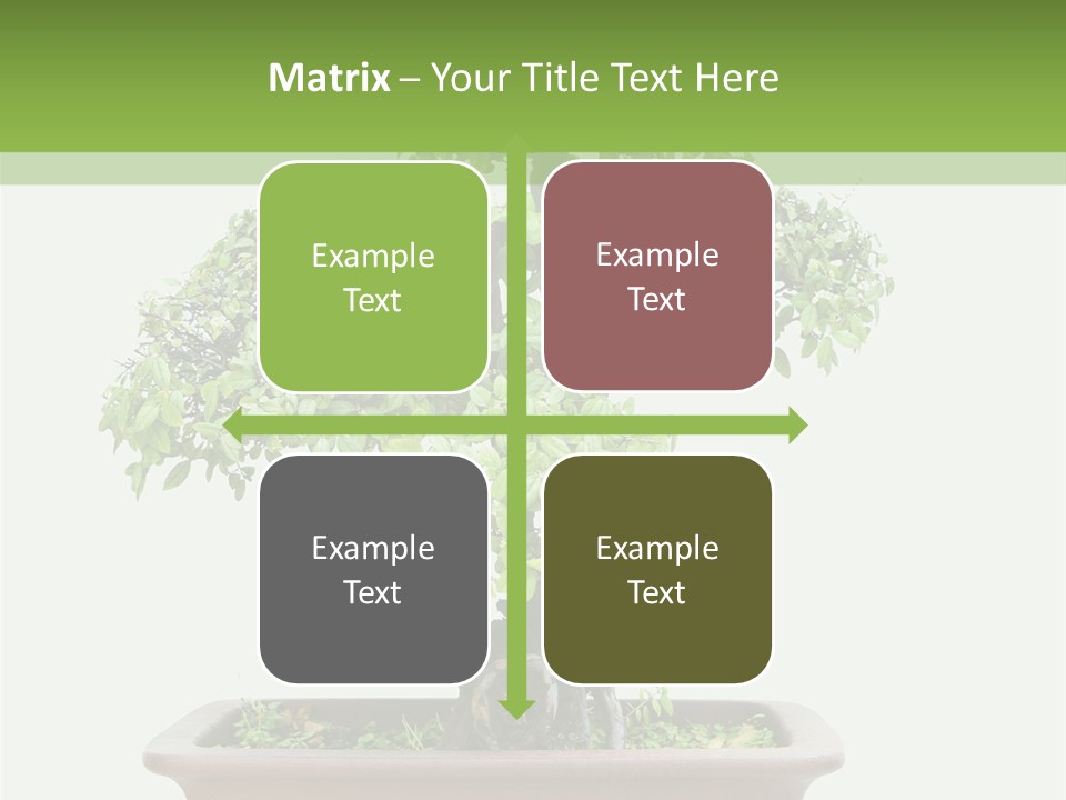 White Botany Branch PowerPoint Template