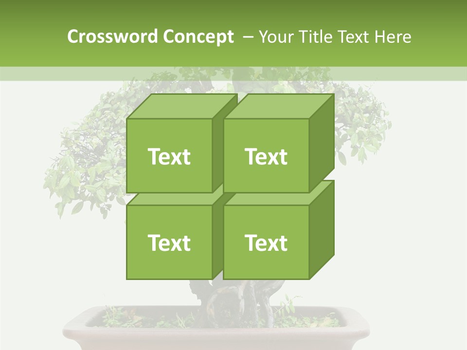 White Botany Branch PowerPoint Template