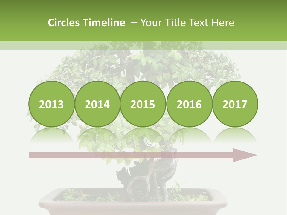 White Botany Branch PowerPoint Template