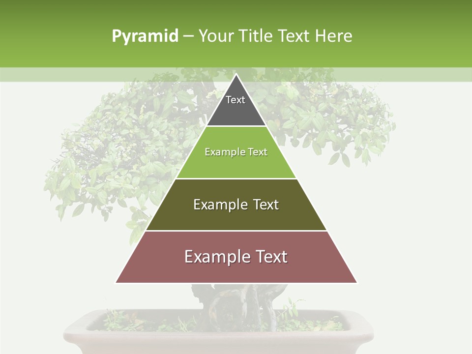 White Botany Branch PowerPoint Template