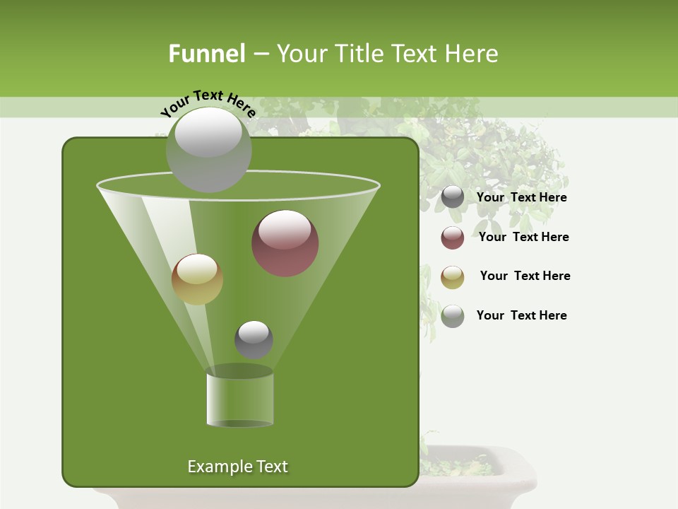 White Botany Branch PowerPoint Template