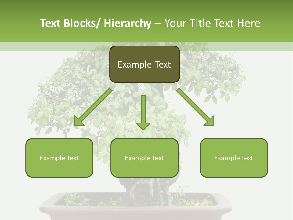 White Botany Branch PowerPoint Template