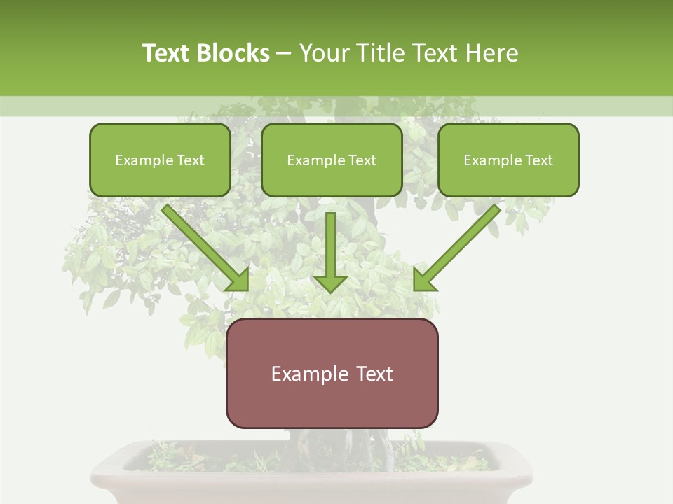 White Botany Branch PowerPoint Template