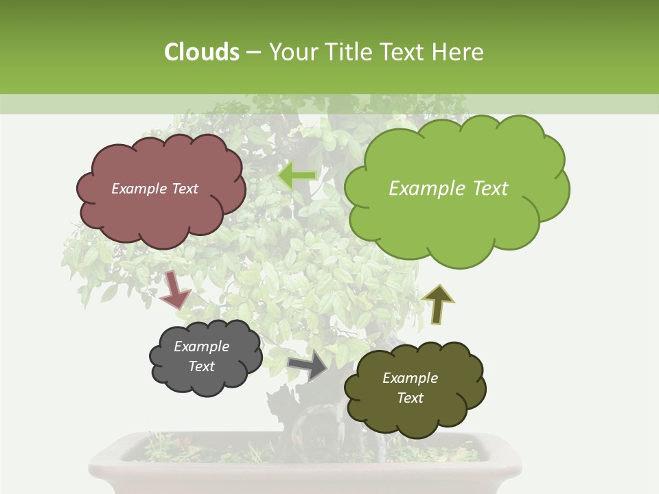 White Botany Branch PowerPoint Template