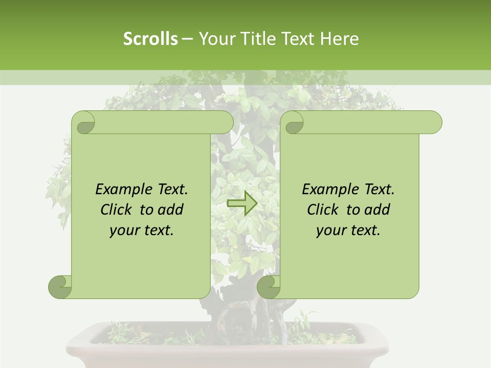 White Botany Branch PowerPoint Template