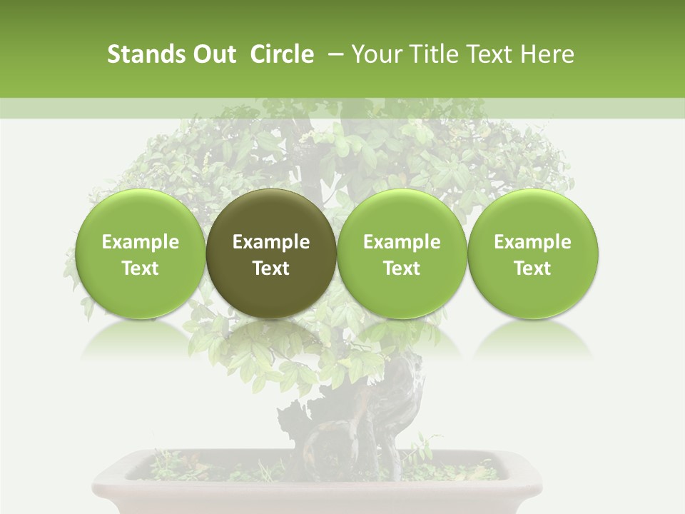 White Botany Branch PowerPoint Template