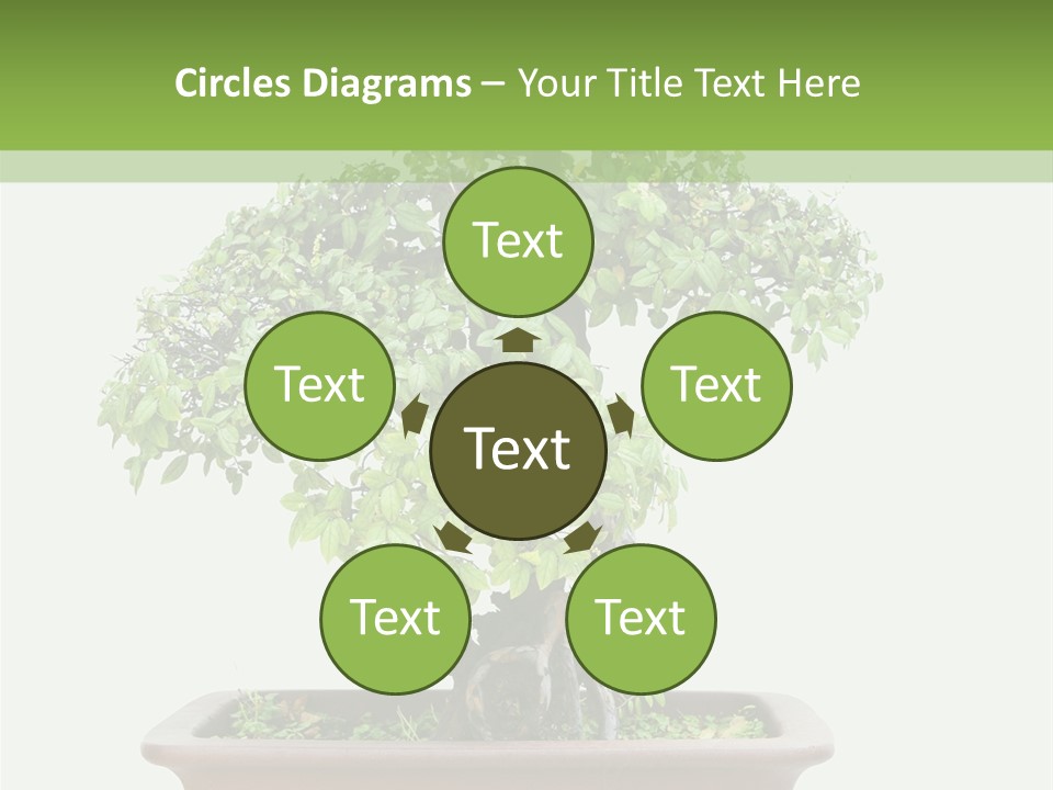 White Botany Branch PowerPoint Template