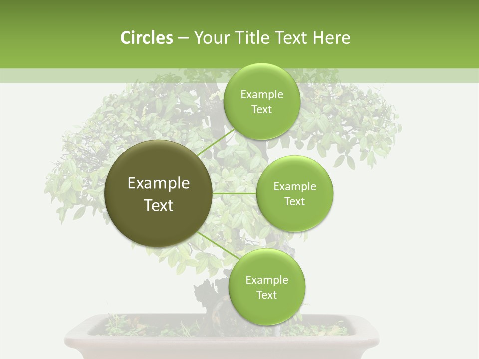 White Botany Branch PowerPoint Template