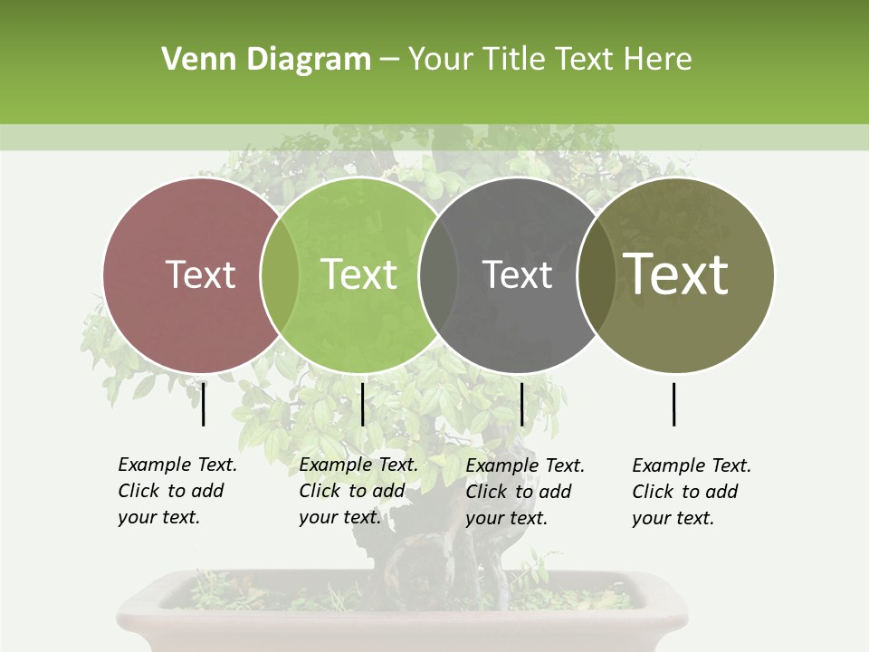 White Botany Branch PowerPoint Template