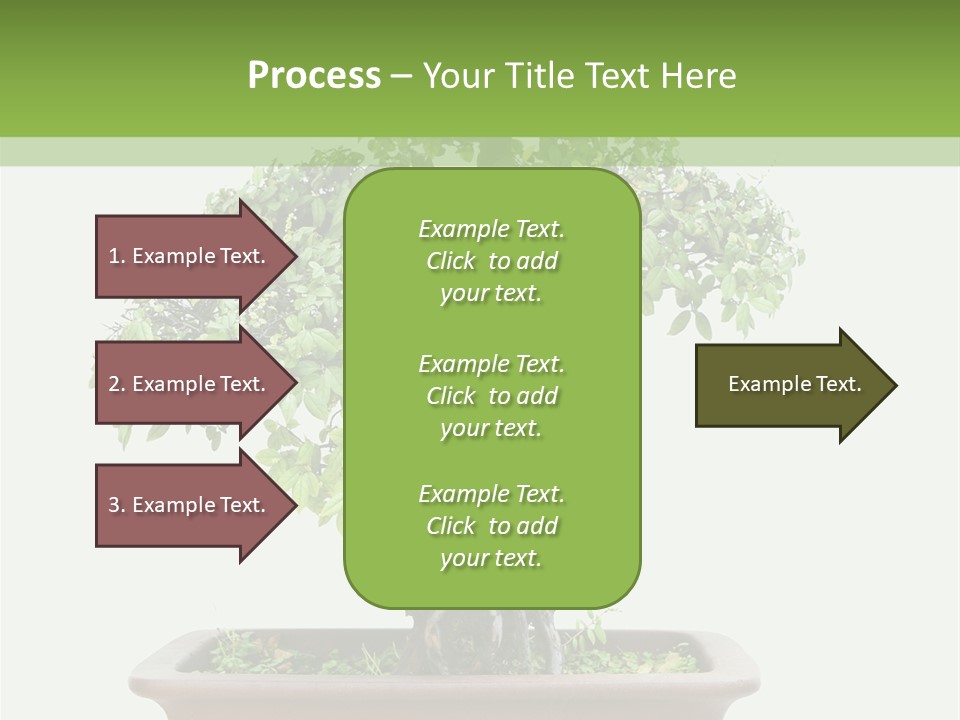 White Botany Branch PowerPoint Template