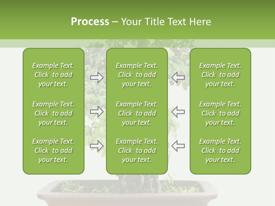 White Botany Branch PowerPoint Template