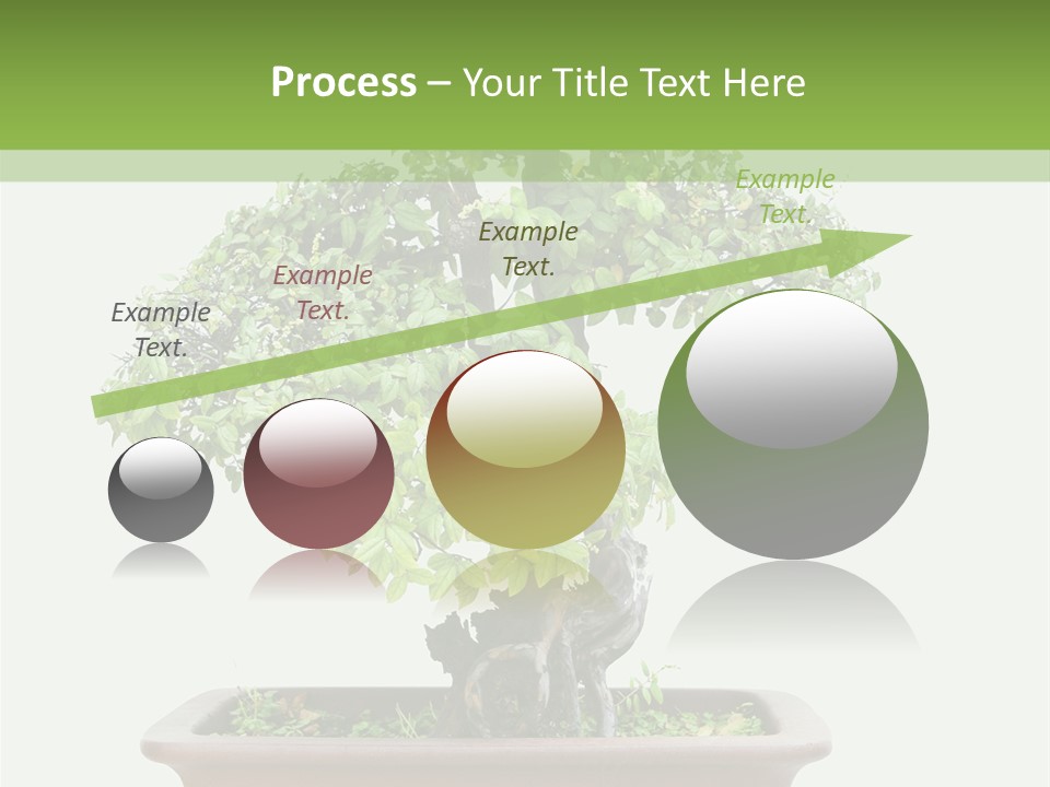 White Botany Branch PowerPoint Template