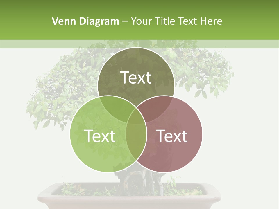 White Botany Branch PowerPoint Template