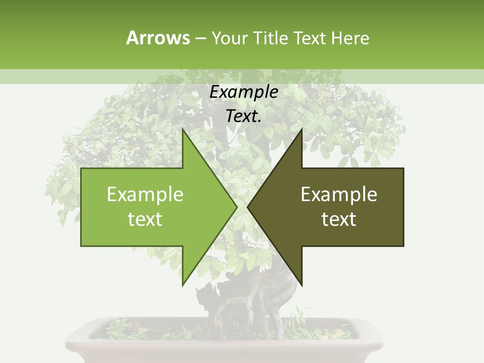 White Botany Branch PowerPoint Template
