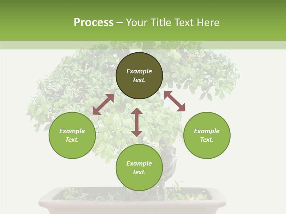 White Botany Branch PowerPoint Template