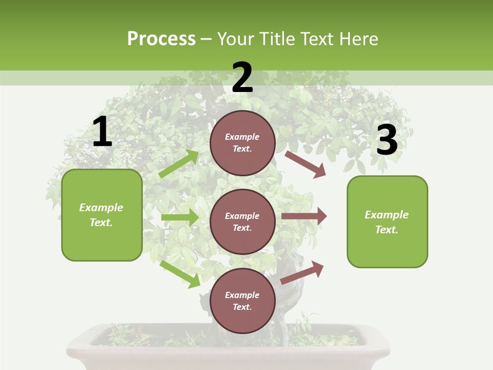 White Botany Branch PowerPoint Template