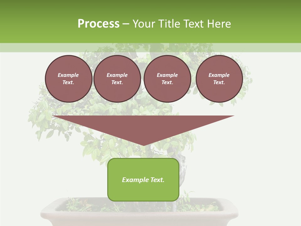 White Botany Branch PowerPoint Template