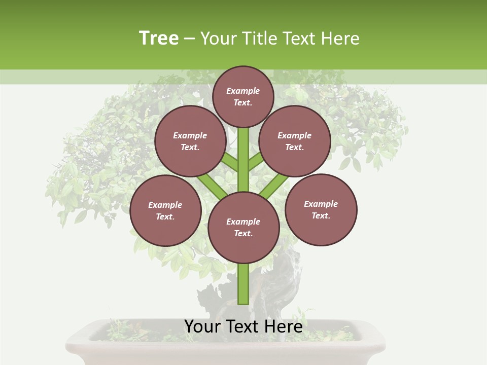 White Botany Branch PowerPoint Template