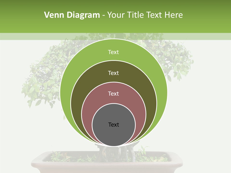 White Botany Branch PowerPoint Template