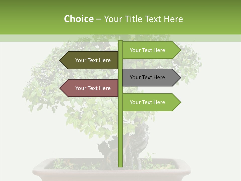 White Botany Branch PowerPoint Template
