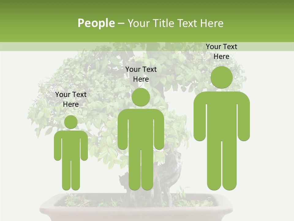 White Botany Branch PowerPoint Template