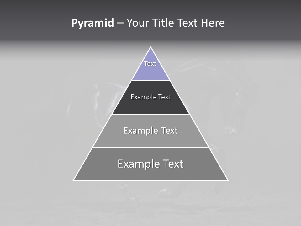 Horizontal Nobody Dark PowerPoint Template