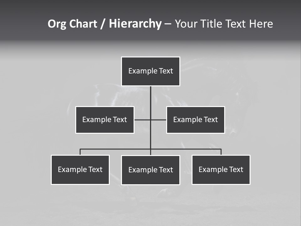 Horizontal Nobody Dark PowerPoint Template