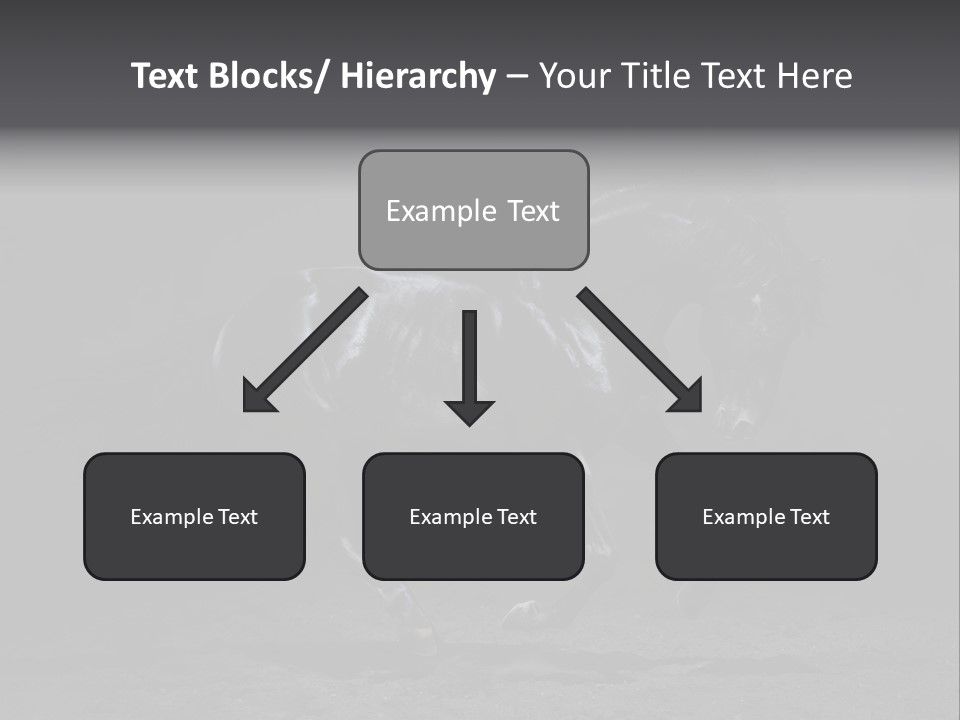 Horizontal Nobody Dark PowerPoint Template