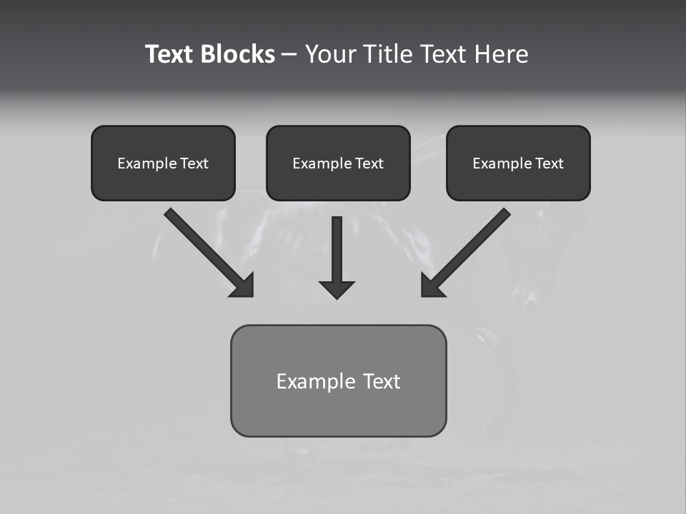 Horizontal Nobody Dark PowerPoint Template