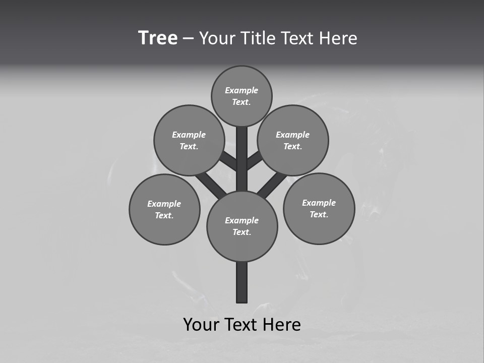 Horizontal Nobody Dark PowerPoint Template