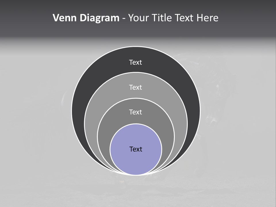 Horizontal Nobody Dark PowerPoint Template