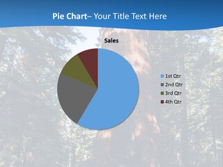 Tree Travel Usa PowerPoint Template