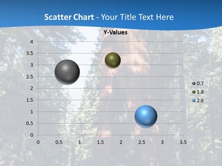 Tree Travel Usa PowerPoint Template