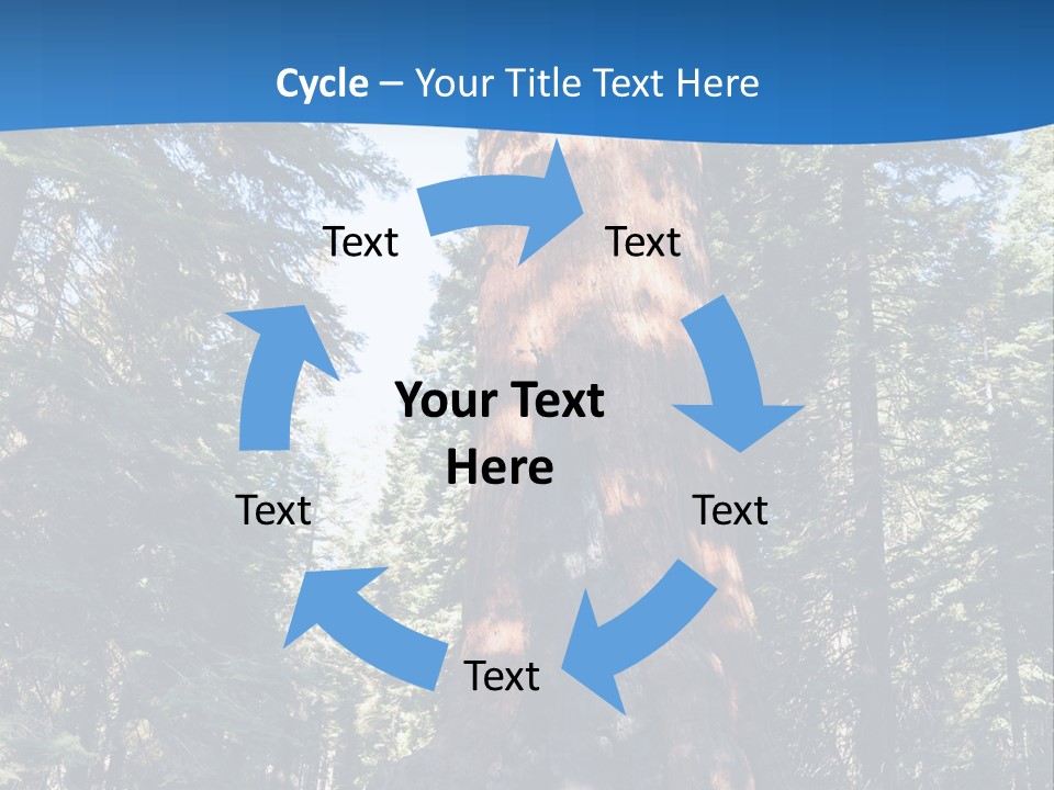 Tree Travel Usa PowerPoint Template