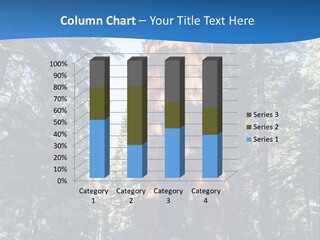 Tree Travel Usa PowerPoint Template