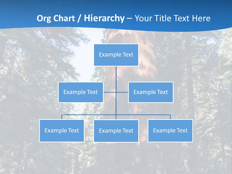 Tree Travel Usa PowerPoint Template